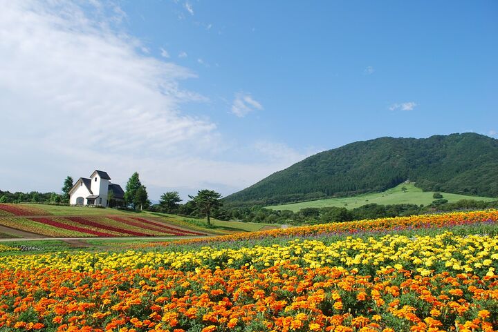 自然を活かしたアクティビティがいっぱいの「宮城県加美町」。ふるさと納税ではグルメな返礼品が人気!