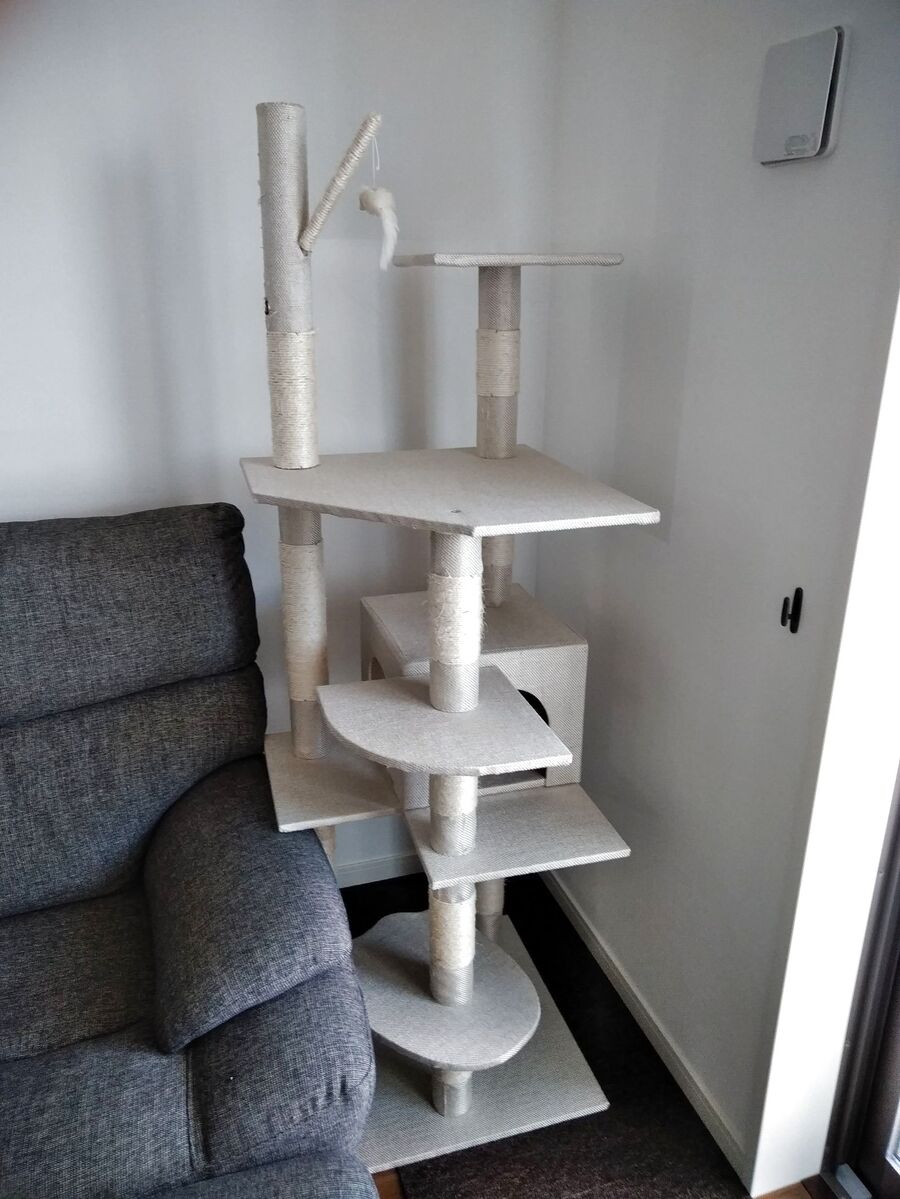 猫ちゃんシリーズ キャットタワーをラクラクお掃除 暮らしニスタ 猫ちゃんシリーズ キャットタワーをラクラクお掃除 暮らしニスタ