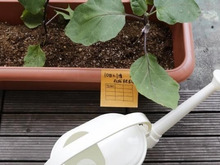 「雨ニモマケズ」な耐水性ポスト・イット®製品が日本新発売！屋外や水回りにも貼れる♪