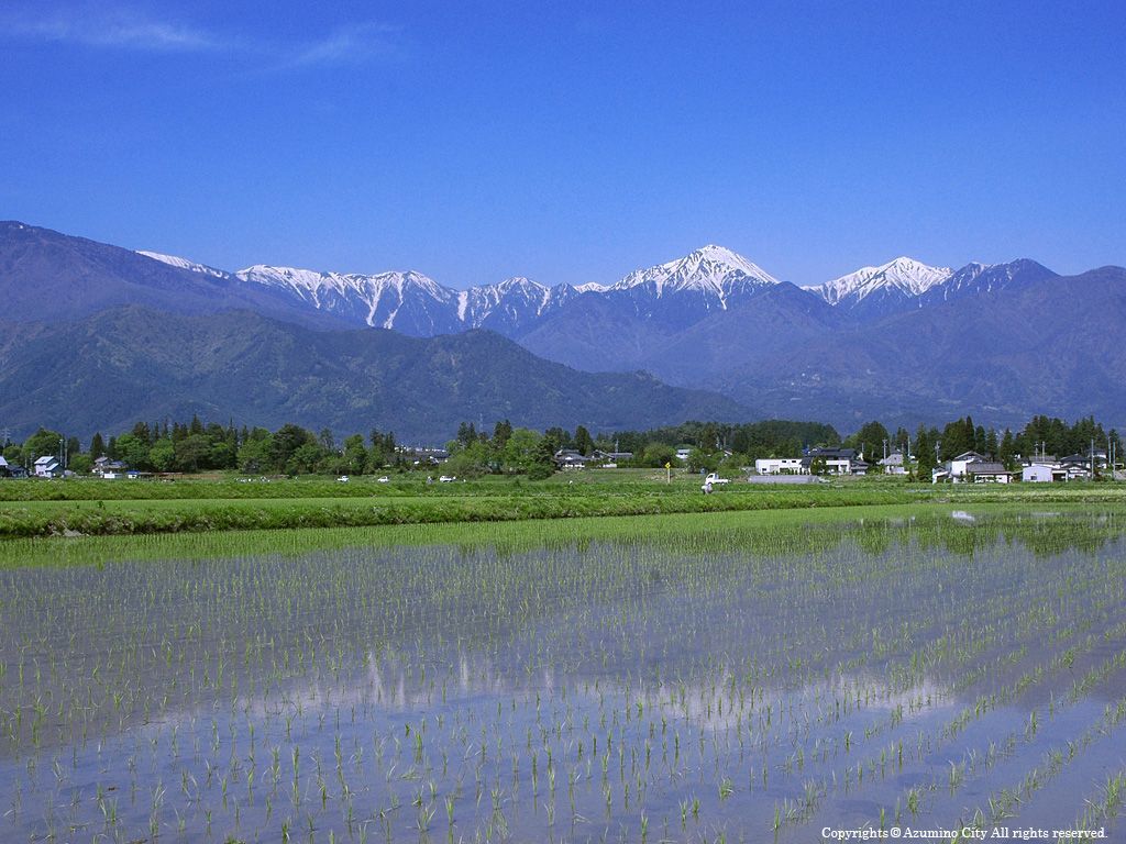 北アルプスを望む田園産業都市 長野県安曇野市 こだわりの返礼品は農業 産業のまちならではのラインナップ 暮らしニスタ