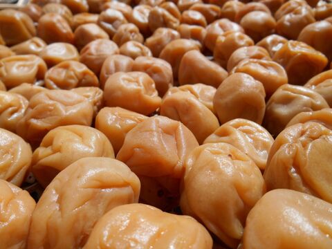 19年 ふるさと納税でゲット 美味しい梅干し 漬物 加工品ランキング 暮らしニスタ 19年 ふるさと納税でゲット 美味しい梅干し 漬物 加工品ランキング 暮らしニスタ