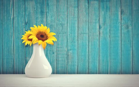 19年 美しい花で心を豊かに ふるさと納税で人気の花 観葉植物ランキングトップ10 暮らしニスタ 19年 美しい花で心を豊かに ふるさと納税で人気の花 観葉植物ランキングトップ10 暮らしニスタ