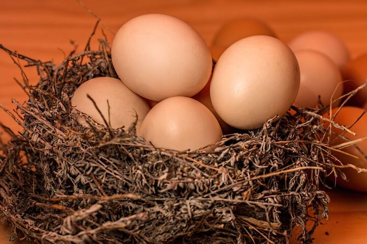 【2019年】ふるさと納税で選ぶ、おいしい卵ランキング・トップ10