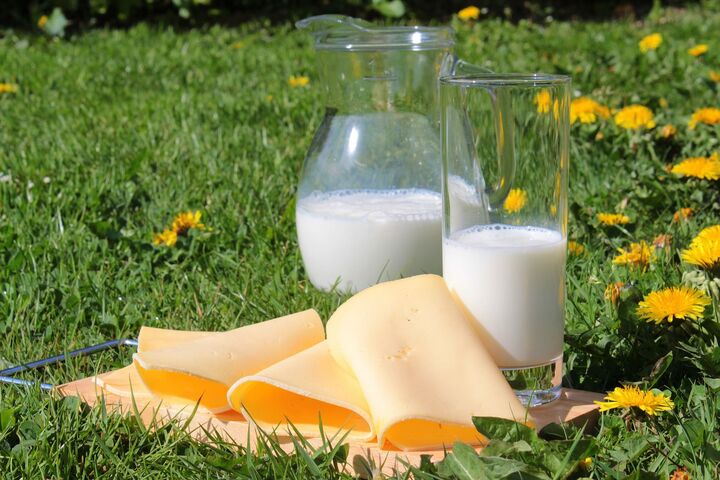 【2019年】ふるさと納税の返礼品!乳製品で人気なのは?