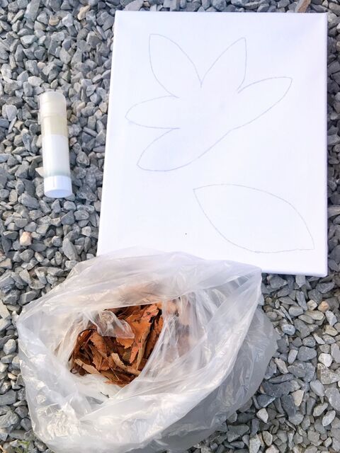 子供が拾ってきた落ち葉でアート 暮らしニスタ 子供が拾ってきた落ち葉でアート 暮らしニスタ