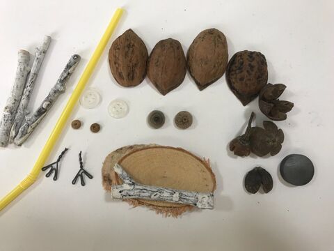 簡単工作 100均とクルミの殻で楽しく作ろう 暮らしニスタ 簡単工作 100均とクルミの殻で楽しく作ろう 暮らしニスタ