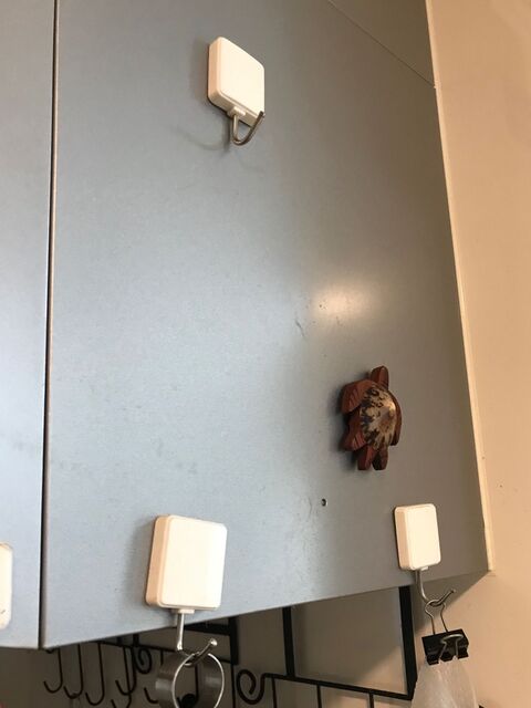 洗ったペットボトル何処で乾燥させる コップスタンドで場所とらずに乾燥 暮らしニスタ