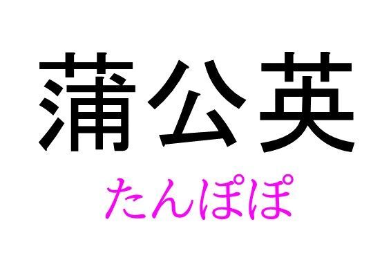 独活 って読める 読めない 読みたい漢字ファイル Vol ６ 暮らしニスタ