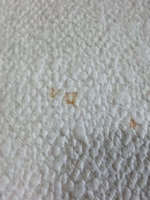 壁 ビニールクロス のナゾの汚れが 百均セスキソーダで真っ白に 暮らしニスタ
