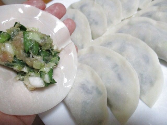 ステップ１：餃子の具を作り、餃子の皮で包みます