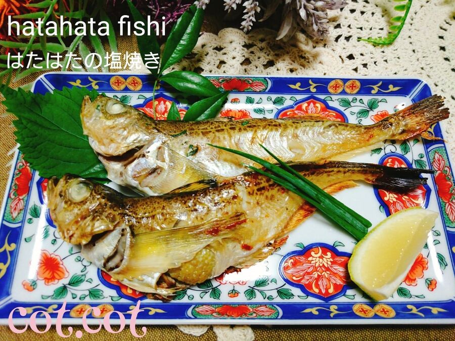 寒い時期になったな と実感 はたはたの塩焼き 暮らしニスタ 寒い時期になったな と実感 はたはたの塩焼き 暮らしニスタ