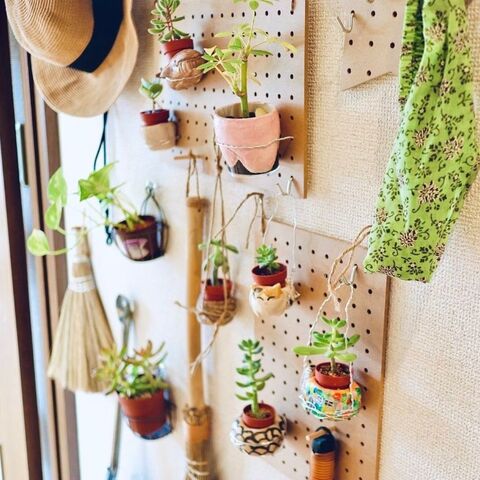 100均有孔ボード 木粉粘土で完成 カフェ風植物ディスプレイ 暮らしニスタ 100均有孔ボード 木粉粘土で完成 カフェ風植物ディスプレイ 暮らしニスタ