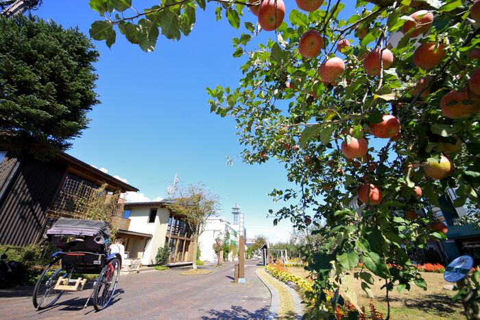 南アルプスの雄大な自然に囲まれた長野県飯田市。ふるさと納税返礼品のおすすめはブランド柿！