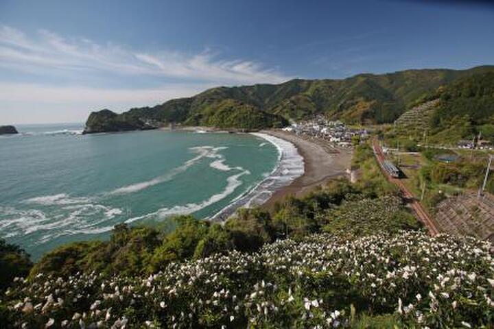 「おさかなのまち、すさき」の高知県須崎市。ふるさと納税では新鮮な魚介類や野菜の返礼品が見逃せない!