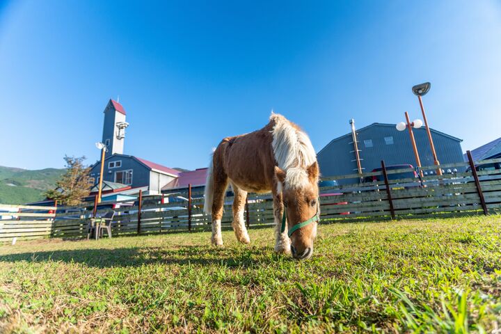 風光明媚な伊豆半島の玄関口「静岡県函南町」から大自然に育まれたおいしい返礼品をお届け!