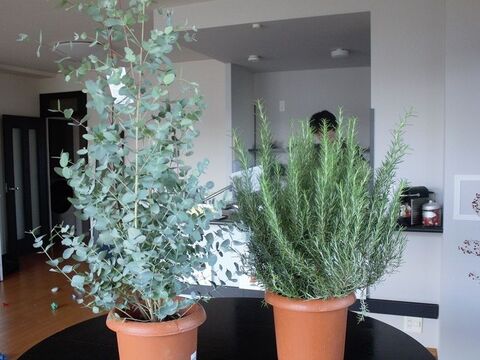 コストコで安すぎて二度見した商品19のトップ3を発表 暮らしニスタ コストコで安すぎて二度見した商品19のトップ3を発表 暮らしニスタ