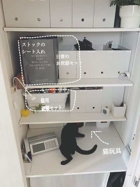 防災ねこ はっちゃんの ねこねこ防災 No2 リビング収納を活用した猫ケア 防災グッズの収納 暮らしニスタ 防災ねこ はっちゃんの ねこねこ防災 No2 リビング収納を活用した猫ケア 防災グッズの収納 暮らしニスタ