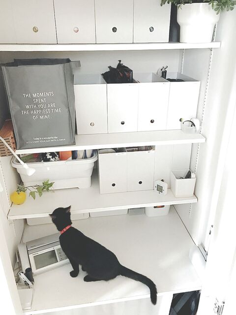 防災ねこ はっちゃんの ねこねこ防災 No2 リビング収納を活用した猫ケア 防災グッズの収納 暮らしニスタ