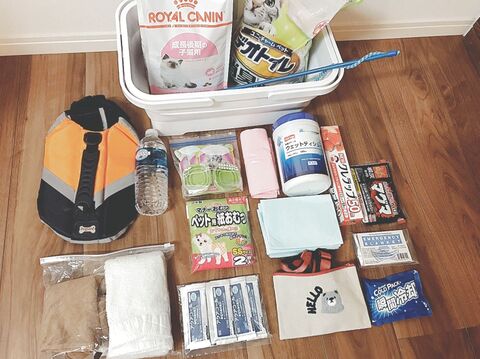 防災ねこ はっちゃんの ねこねこ防災 No3 二次避難用セット 暮らしニスタ