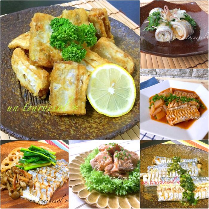 【旬の味「太刀魚（タチウオ）」】脂っこくなく食べれる太刀魚‼過去レシピまとめ6選