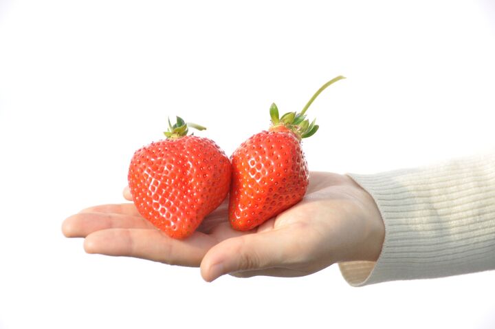 八女茶だけじゃない!全国有数のフルーツ王国「八女市」の魅力とイチオシ返礼品を深堀り♪