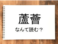 【蘆薈】って読める？読めない！「読みたい漢字ファイル」vol.11