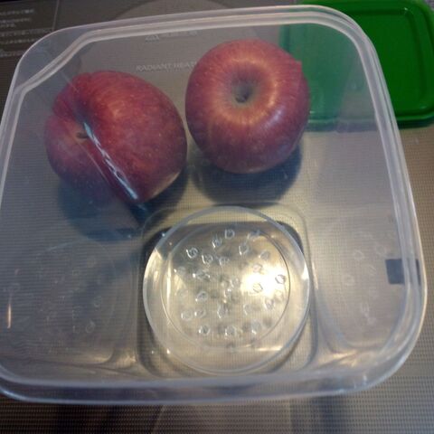 皮を剥いたり カットしたり何かと面倒くさ いリンゴを手軽に食べる方法 暮らしニスタ 皮を剥いたり カットしたり何かと面倒くさ いリンゴを手軽に食べる方法 暮らしニスタ