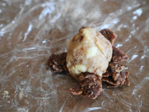 本物みたい 松ぼっくりケーキ 暮らしニスタ 本物みたい 松ぼっくりケーキ 暮らしニスタ
