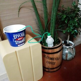 容器に水を溜めて置くだけ 暮らしニスタ 容器に水を溜めて置くだけ 暮らしニスタ