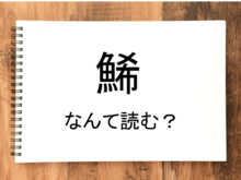 【鯑】って読める？読めない！「読みたい漢字ファイル」vol.17