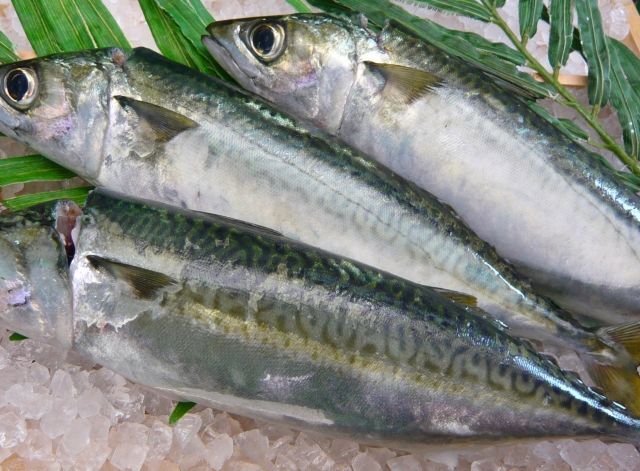 サバ缶ランキングご紹介 美味しいオススメ人気サバ缶を堪能しよう 暮らしニスタ