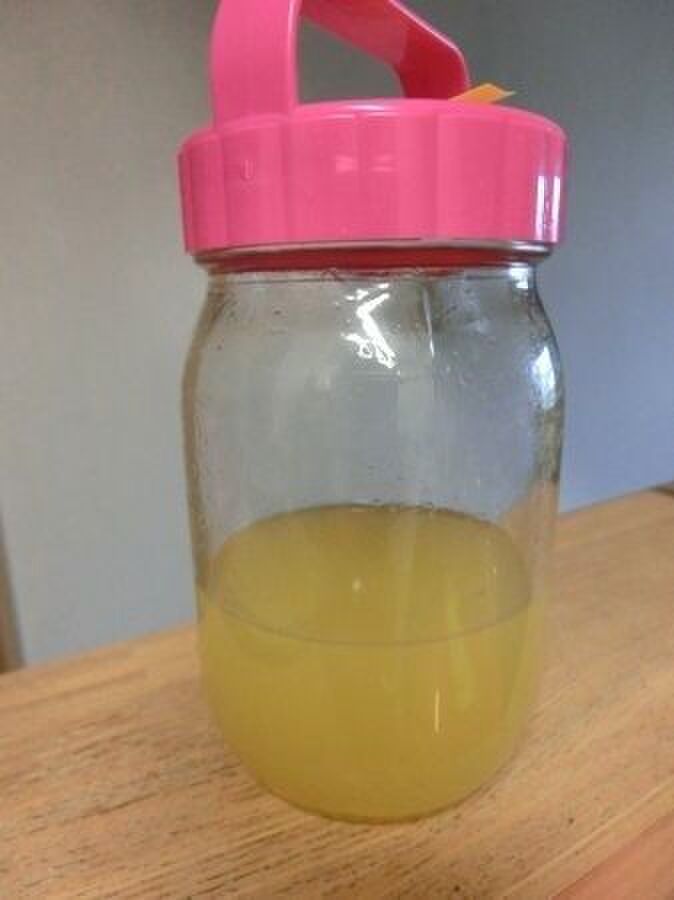 2.柚子果汁