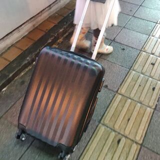 しまむらの福袋解体セールで キャリーケースをget 暮らしニスタ しまむらの福袋解体セールで キャリーケースをget 暮らしニスタ