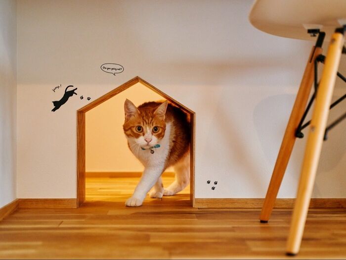 【家づくり】猫ちゃんといっしょに暮らす実例アイディア