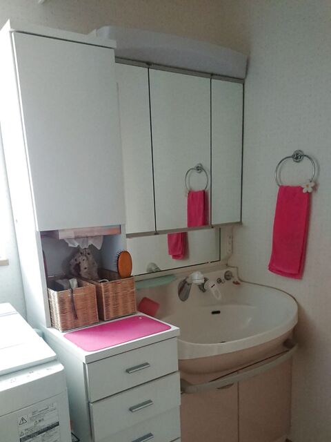 洗面台の三面鏡の薄い収納棚の使い方 暮らしニスタ 洗面台の三面鏡の薄い収納棚の使い方 暮らしニスタ