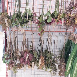 侮れないっ Daiso産ドライフラワー風造花 暮らしニスタ 侮れないっ Daiso産ドライフラワー風造花 暮らしニスタ