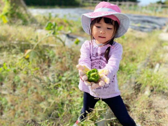 ピーマンを生で食べられるレシピが知りたい オススメの食べ方講座 暮らしニスタ