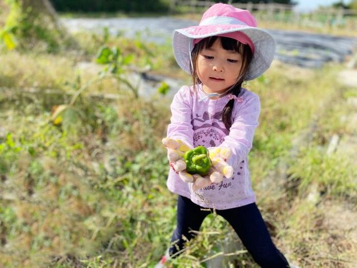 ピーマンを生で食べられるレシピが知りたい オススメの食べ方講座 暮らしニスタ ピーマンを生で食べられるレシピが知りたい オススメの食べ方講座 暮らしニスタ