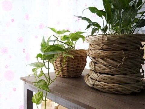 簡単100均diy 積んで 重ねて ラタンバスケット風グリーンポットカバー 暮らしニスタ 簡単100均diy 積んで 重ねて ラタンバスケット風グリーンポットカバー 暮らしニスタ
