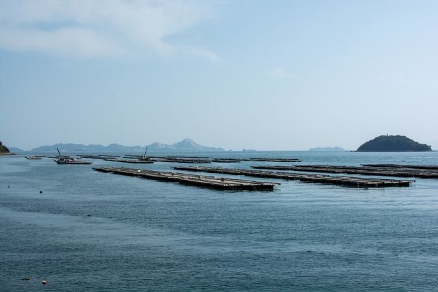 牡蠣がおいしい旬はいつ 産地や種類 おすすめレシピまでまとめてご紹介 暮らしニスタ