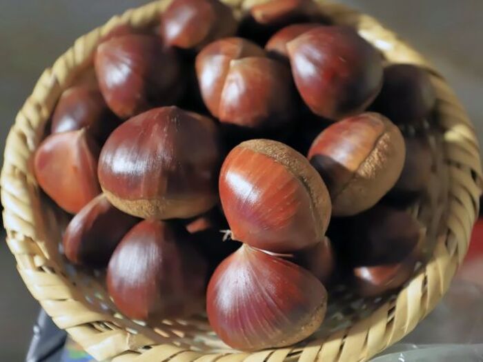 栗の美味しい食べ方 簡単なむき方やホクホクな茹で方を紹介 暮らしニスタ 栗の美味しい食べ方 簡単なむき方やホクホクな茹で方を紹介 暮らしニスタ