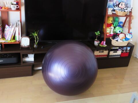 バランスボールストッパー 暮らしニスタ バランスボールストッパー 暮らしニスタ