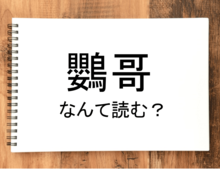 【鸚哥】って読める？読めない！「読みたい漢字ファイル」vol.23