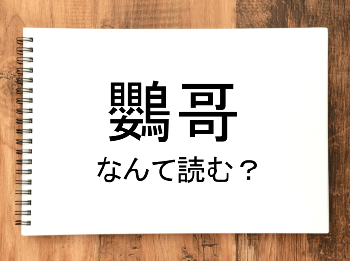 【鸚哥】って読める？読めない！「読みたい漢字ファイル」vol.23