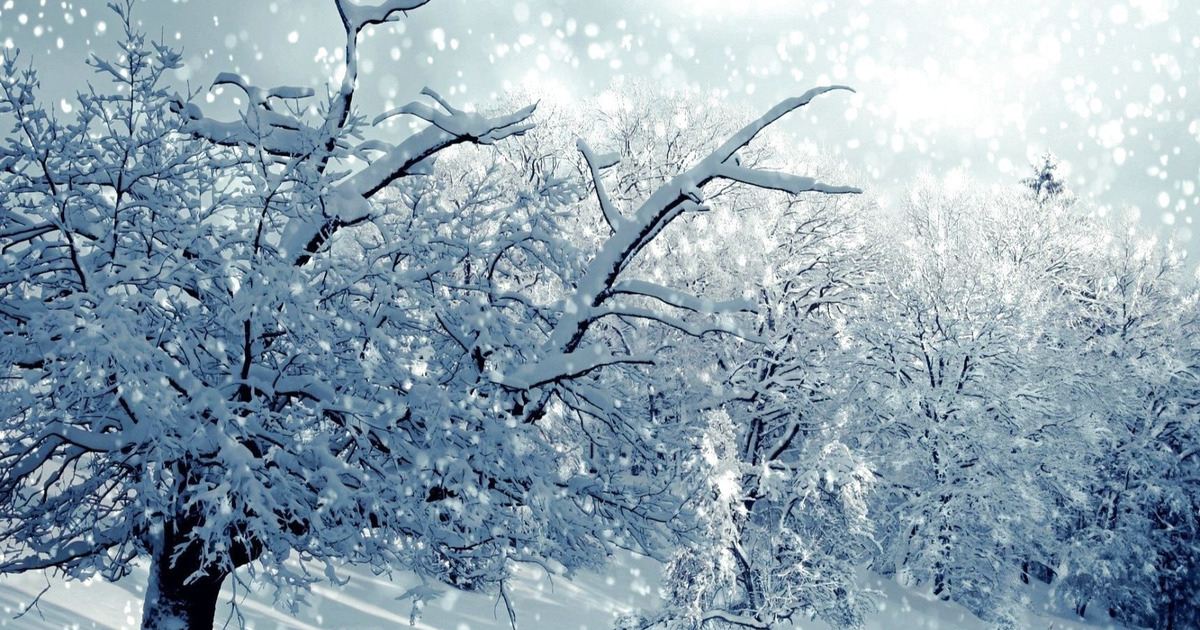 降り注ぐ雪を幻想的に撮るには 雪の日の撮影テクニック 暮らしニスタ