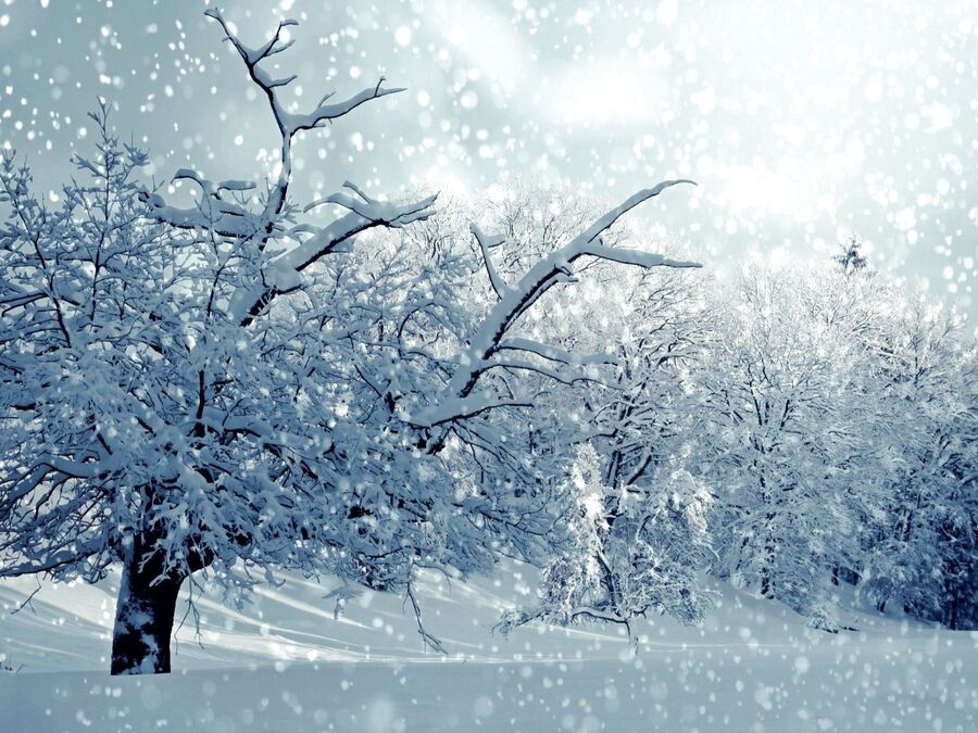 降り注ぐ雪を幻想的に撮るには 雪の日の撮影テクニック 暮らしニスタ 降り注ぐ雪を幻想的に撮るには 雪の日の撮影テクニック 暮らしニスタ
