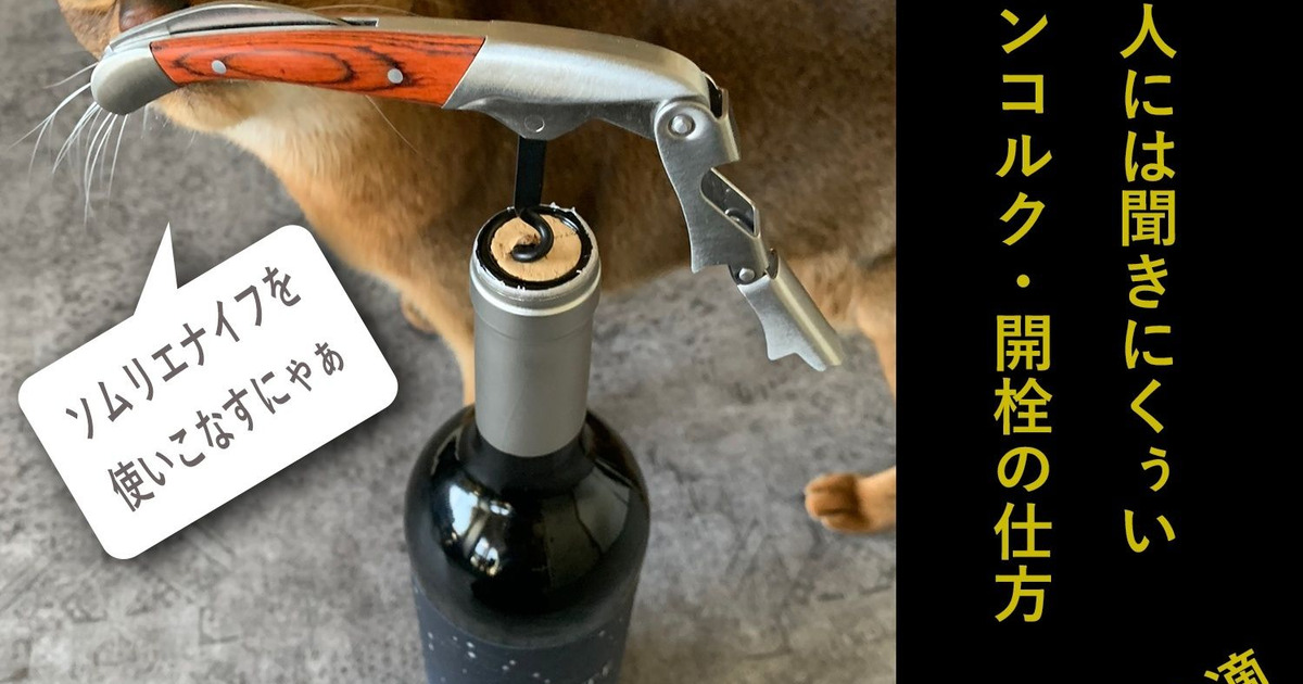 ワインのおはなし04 はじめてのソムリエナイフ ワインコルクの開け方 暮らしニスタ