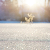 キラキラと光る雪の反射を撮るには？雪の日の撮影テクニック③