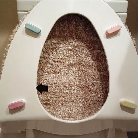 便座の裏の 溝 の汚れ どの方法で落とします 3択です 暮らしニスタ