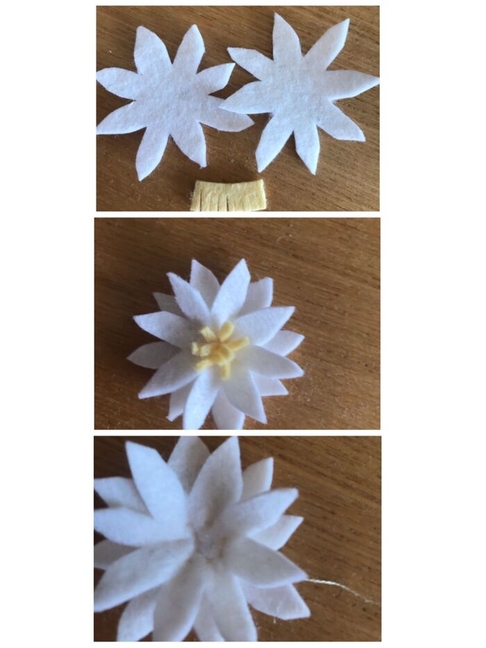 白のお花
